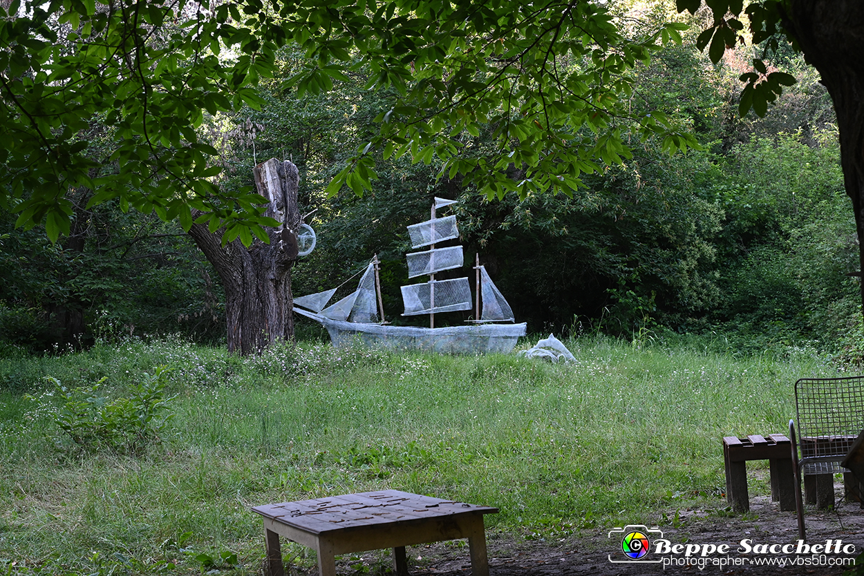 VBS_4937 - Il bosco fatato - Montaldo Roero.jpg